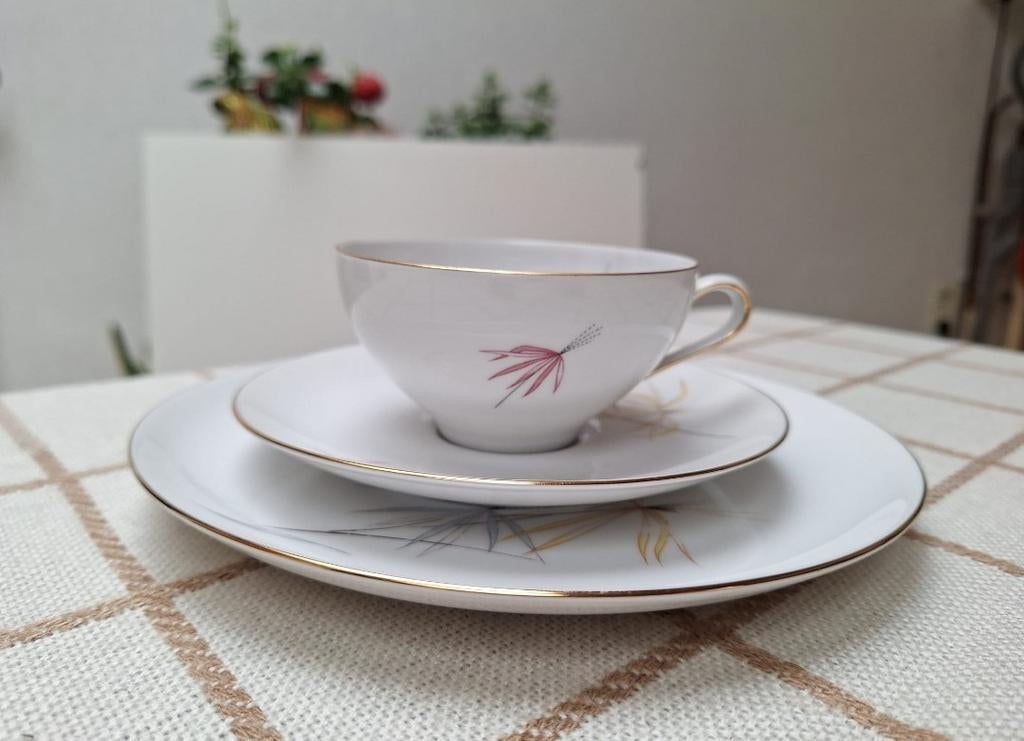 Eschenbach Bavaria Germany 12persoons servies, Antiek en Kunst, Ophalen of Verzenden