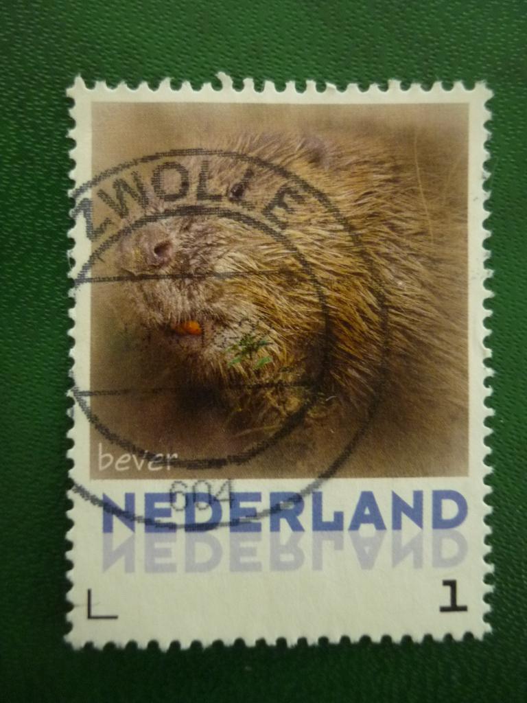 Persoonlijke zegel Zoogdieren Bever gestempeld, Ophalen of Verzenden, Gestempeld