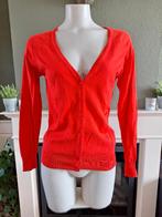 Zara rood nette cardigan vest mt L 42 44, Verzenden, Zara, Maat 42/44 (L), Zo goed als nieuw