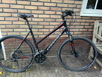 Stevens 6x crosshybride beschikbaar voor biedingen