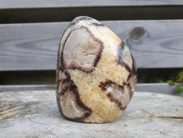 Halfruwe septarie sculptuur beschikbaar voor biedingen