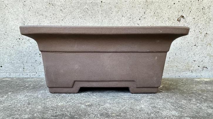 Japan bonsai schaal pot 12,5x10x5,5cm (5*), Tuin en Terras, Planten | Bomen, Overige soorten, Minder dan 100 cm, Volle zon, Bloeit niet