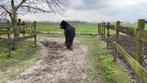 Zeer ervaren Bijrijder gezocht 16+ Uitgeest, Dieren en Toebehoren, Nieuw, Ophalen of Verzenden