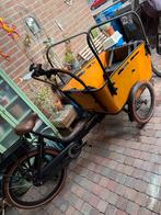 Qivelo Curve 3 Elektrische Bakfiets, 4 kinderen of meer, Gebruikt, Elektrisch, Ophalen