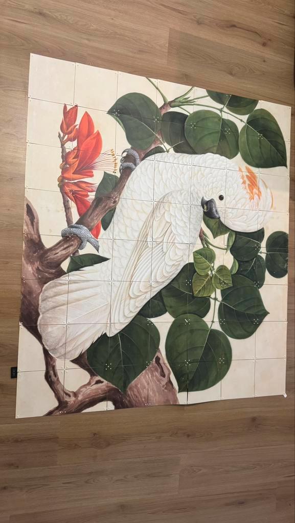 IXXI schilderij pappagaai 140x160, Antiek en Kunst, Kunst | Schilderijen | Modern, Ophalen of Verzenden