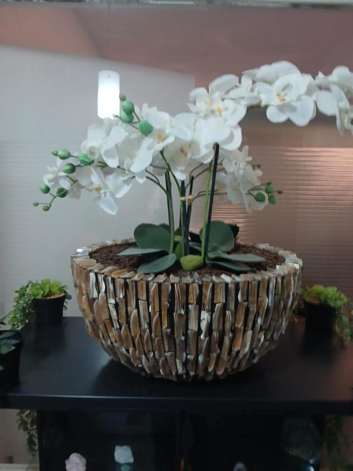 Schelpenvaas Eric Kuster Style, Huis en Inrichting, Kamerplanten, Ophalen of Verzenden