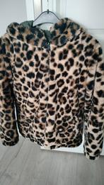 Cars Jeans,  zachte winterjas, maat 176, Ophalen of Verzenden, Zo goed als nieuw, Jongen, Jas