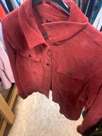 Tramontana Stoer Corduroy Jasje - Maat L, Maat 42/44 (L), Ophalen of Verzenden, Zo goed als nieuw, Jasje