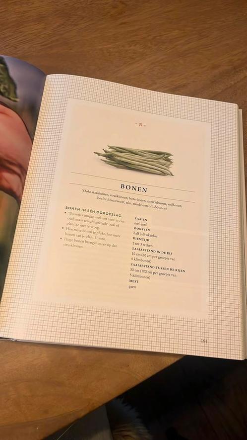 Wim Lybaert - In de moestuin, Boeken, Wonen en Tuinieren, Zo goed als nieuw, Moestuin, Ophalen of Verzenden