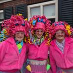 Carnaval lopgroep - Compleet - foampruik - Proost met wijn, Kleding | Dames, Carnavalskleding en Feestkleding, Ophalen, Carnaval