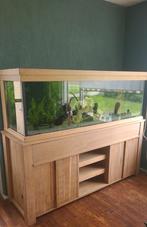 Grote aquarium compleet custom! 500L+/-, Dieren en Toebehoren, Ophalen, Zo goed als nieuw, Gevuld zoetwateraquarium