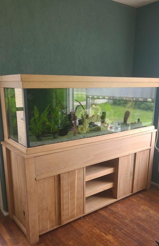 Grote aquarium compleet custom! 500L+/-, Dieren en Toebehoren, Vissen | Aquaria en Toebehoren, Zo goed als nieuw, Gevuld zoetwateraquarium