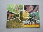 Hoenderloo, Miggelenberg/dieren in bos, Verzamelen, Ansichtkaarten | Nederland, Verzenden, Gelopen, Gelderland