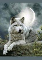 Diamond painting wolf met maan 40x50. Nieuw, Ophalen of Verzenden, Nieuw
