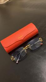 Cartier Zonnebril Heren, Ophalen of Verzenden, Blauw, Overige merken