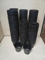 Kweekpotten 14 cm, Tuin en Terras, Bloempotten, Kunststof, Gebruikt, Info@krimpen.nl, Molenstraat 42
4758 AB Standdaarbuiten
Nederland