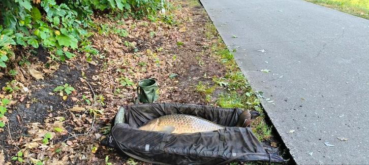 Sonik Onthaakmat met Opberghoes, Watersport en Boten, Hengelsport | Karpervissen, Gebruikt, Overige typen, Ophalen of Verzenden