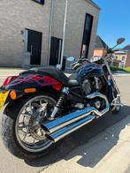 Harley-Davidson V-Rod Special Edition 2004 – #84/200, 2 cilinders, Chopper, Particulier, Meer dan 35 kW