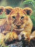 Leeuwenwelpjes puzzel 1000 stukjes - Puzzle Pleasure, Ophalen, 500 t/m 1500 stukjes, Zo goed als nieuw, Legpuzzel