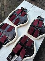 Peesbeschermers bont bordeaux, Dieren en Toebehoren, Paarden en Pony's | Beschermers, Ophalen of Verzenden, Zo goed als nieuw