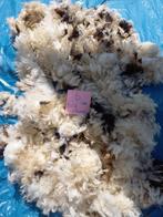 nr 6 Geschoren vacht van een bergschaap lam, Ophalen of Verzenden