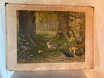 oude schoolplaat Boschvogels Bosvogels Vogels Bos, Antiek en Kunst, Ophalen of Verzenden, Natuur en Biologie