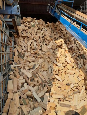 Brandhout, Beuken, Haardhout, droog  beschikbaar voor biedingen
