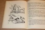 Boetseren en Gieten — Vintage Handboek [1944], Ophalen of Verzenden, Gelezen