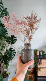 Vaasje met roze droogbloemen, Ophalen of Verzenden, Nieuw