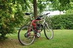 Giant gemotoriseerde fiets - 100cc, Ophalen, Zo goed als nieuw, 100 cc, 1 versnellingen