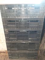 Stevige kratten, Ophalen, Gebruikt, 40 tot 60 cm, 50 tot 75 cm