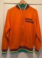 Wolle wielertrui koerstrui vintage, Ophalen of Verzenden, Zo goed als nieuw