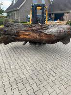 Zeer mooie grote iepen stam 300cm x80 cm, Minder dan 3 m³, Ophalen of Verzenden