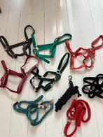 Halster partij, Dieren en Toebehoren, Paarden en Pony's | Hoofdstellen en Tuigage, Ophalen of Verzenden