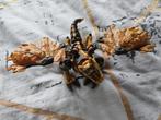 Mega Blocks draak, Ophalen of Verzenden, Zo goed als nieuw, Megabloks