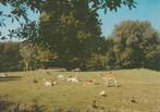 WINSUM Hertenkamp, Verzamelen, Ansichtkaarten | Nederland, Verzenden, 1980 tot heden, Gelopen, Groningen
