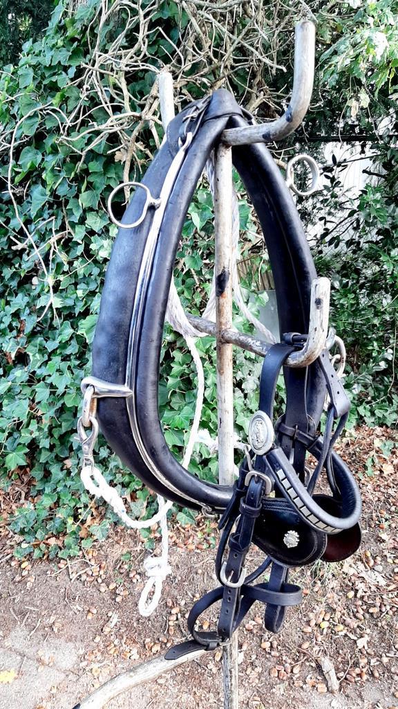 🔴NETJES PONY GAREEL MET STRENGEN V TOUW + KOPSTUK 100 €  🔴, Dieren en Toebehoren, Paarden en Pony's | Hoofdstellen en Tuigage