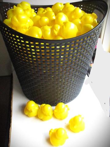 Eenden~Eendjes~152 x eend~Voor spelletjes, school, feesten beschikbaar voor biedingen