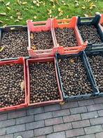 walnoten, Diversen, Levensmiddelen, Ophalen