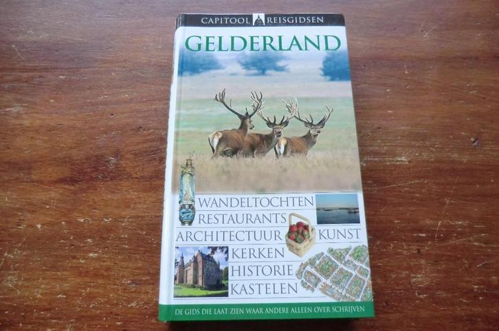 reisgids - Gelderland - capitool (2007) / Arnhem, Nijmegen, Boeken, Reisgidsen, Gelezen, Reisgids of -boek, Benelux, Capitool