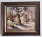 W. Enneking (1933) - Het Bos - 1970, Antiek en Kunst, Kunst | Schilderijen | Klassiek, Ophalen