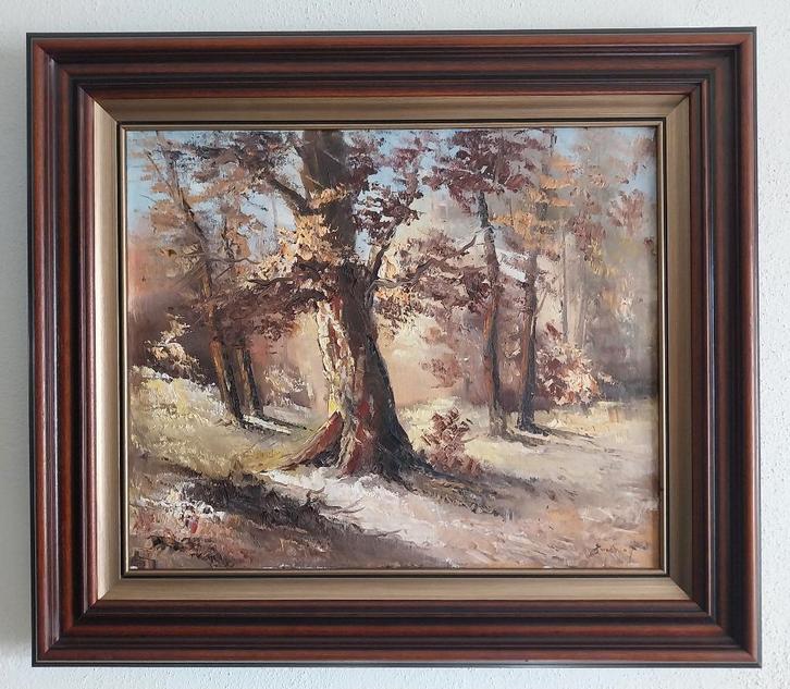 W. Enneking (1933) - Het Bos - 1970, Antiek en Kunst, Kunst | Schilderijen | Klassiek, Ophalen