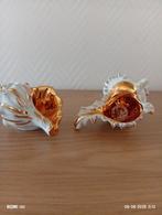 Capodiemonte 2 mooie schelpen, Verzamelen, Swarovski, Ophalen, Zo goed als nieuw