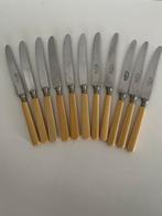 Vintage fruitmesjes roestvrij; kunststof heft., Antiek en Kunst, Ophalen of Verzenden