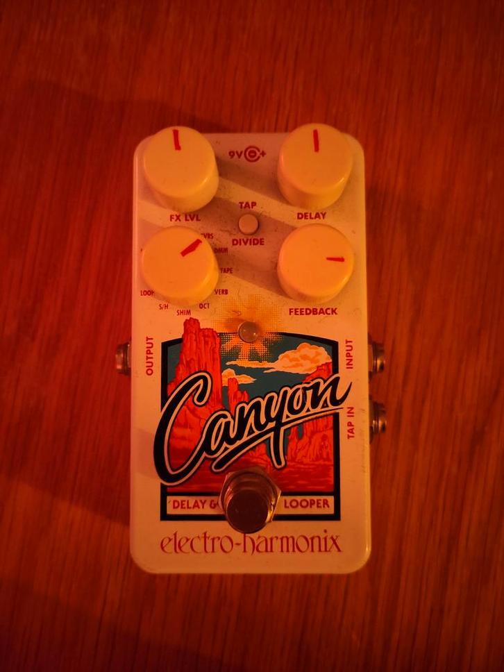 EHX Canyon Delay/Looper Pedaal, Muziek en Instrumenten, Effecten, Zo goed als nieuw, Ophalen of Verzenden