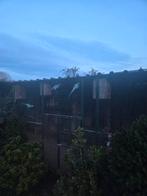 Voliere grote, Dieren en Toebehoren, Ophalen