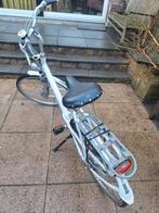 Batavus Damesfiets te koop, 56 cm of meer, Ophalen, Gebruikt, Batavus