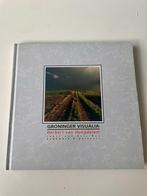 Groninger Visualia - Fotoboek Herbert van Hoogdalem, Ophalen of Verzenden, Zo goed als nieuw, Fotografie algemeen