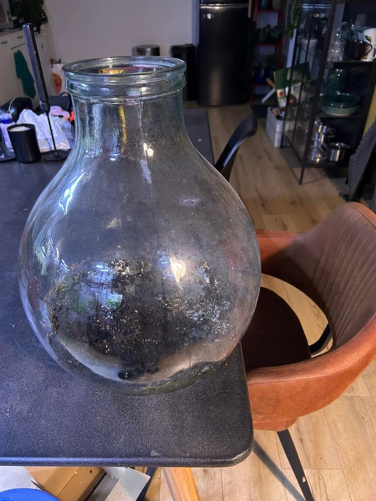 Grote planten terrarium vaas, Ophalen, Overige kleuren, Minder dan 50 cm, Glas