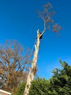 Bomen klimmend afbreken kappen, Minder dan 3 m³, Ophalen